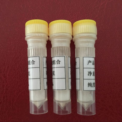 Good quality white color(D-Phe12,Leu14)-Bombesin,CAS 108437-88-3 Youngshe Chem